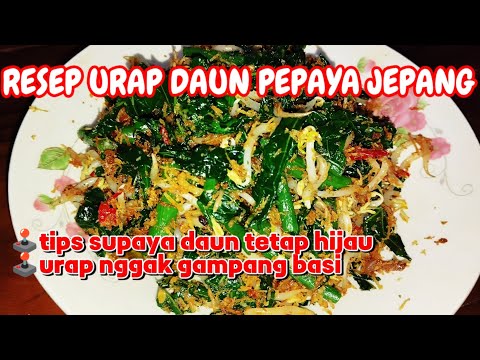Manfaat Urap Daun Pepaya