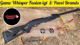 PRECISION TEST: GAMO WHINSPER FUSION IGT 5.5 GAS RAM 60KG PELLETS GAMO PRO HUNTER AND PRO MAGNUM screenshot 4
