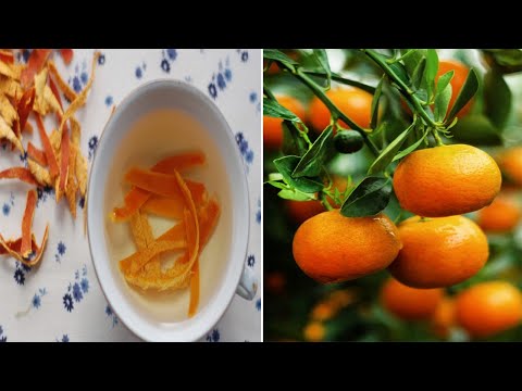 Video: Cilësi Të Dobishme Të Mandarinave