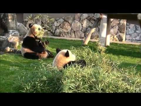 201211陽浜起きる
