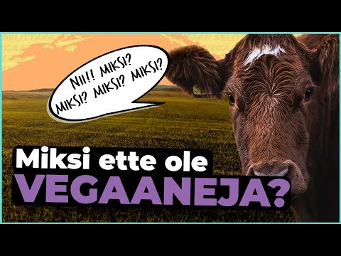 Video: Miksi Liha On Vaarallista Ja Kannattaako Siitä Luopua?