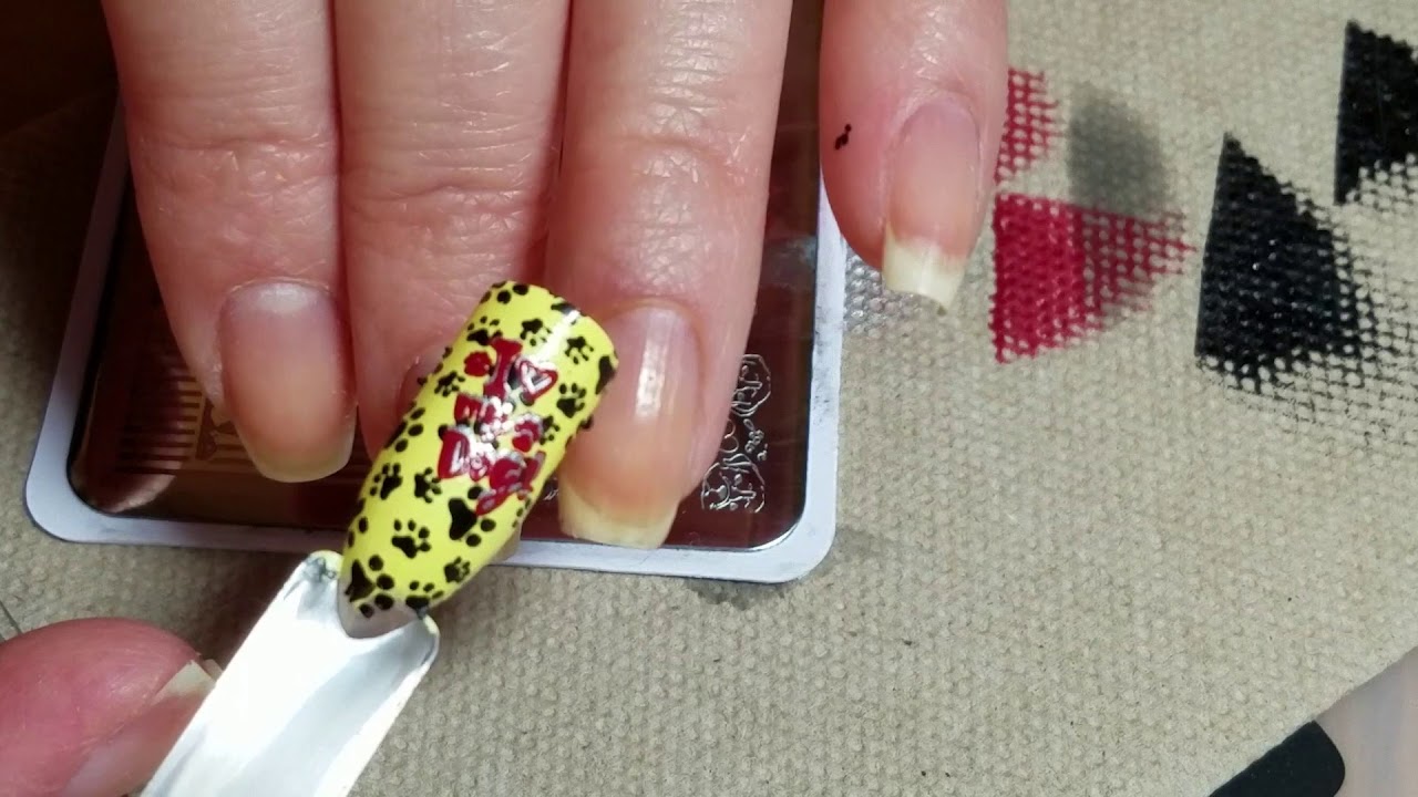Beauty Big Bang Xl 008 Plus Another Accidental Stamping Tip Youtube Beauty Big Bang Xl 008 Plus Another Accidental Stamping Tip Youtube