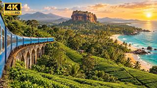 🇱🇰 Sri Lanka’s Most Beautiful Places You NEED to Visit! Update