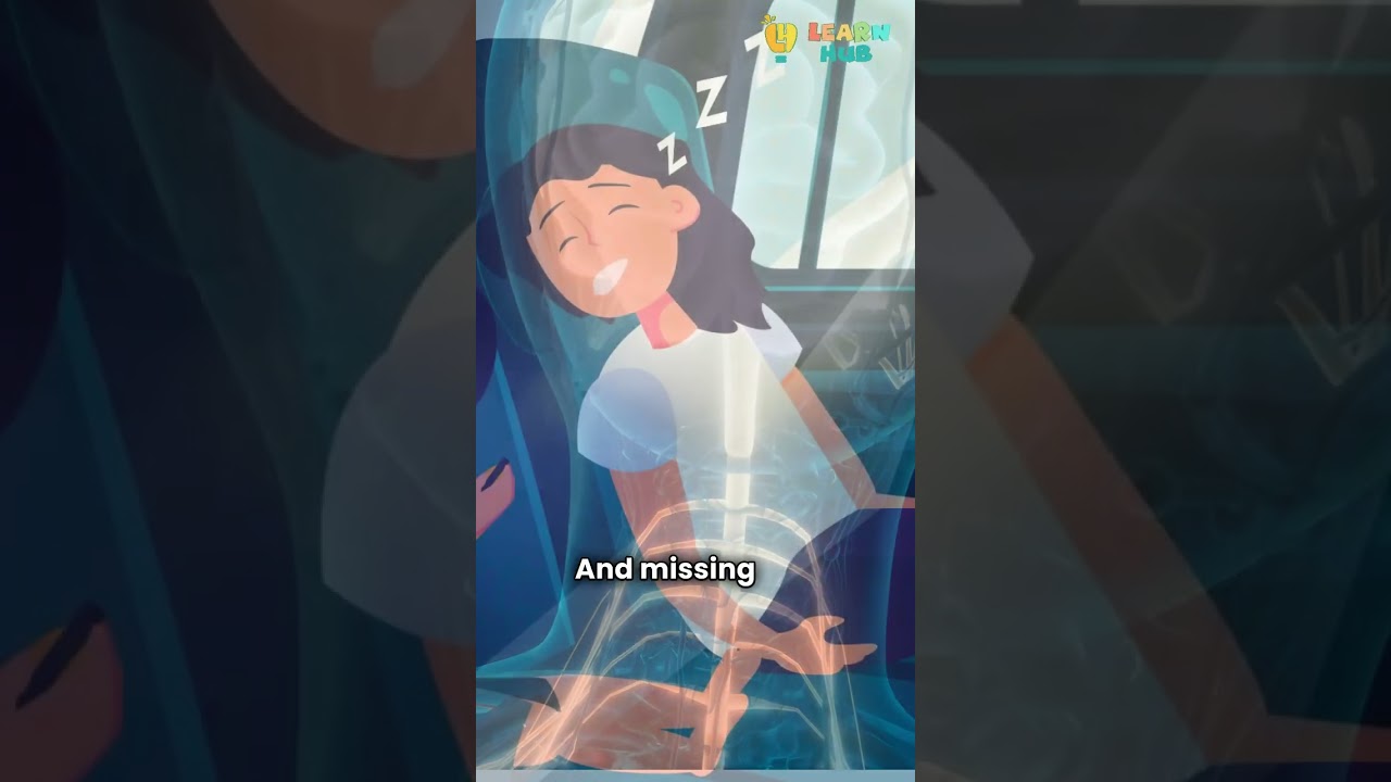 Your Brain Cleans Itself While You Sleep 🧠💤 