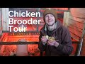 How we made our own Double Decker Chicken Brooder Out of a Shipping Crate | Chicken Brooder Ideas