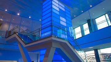 Boldly Buffalo: Our Future