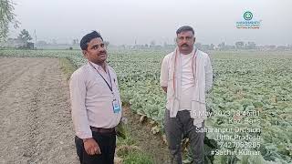 nava Bharath fertilizers Ltd rewari haryana she jems bond ka video shaharnpu