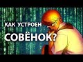 ТАЙНЫ СОВЁНКА - Метафизика Бесконечного Лета | Теории