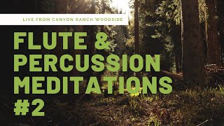 Flute Meditation #2 at Canyon Ranch | Relaxing Healing Alto Flute & Percussion Meditation