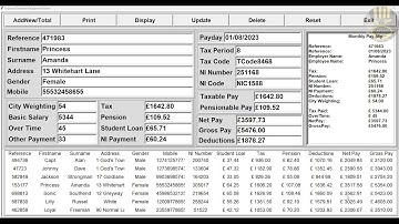 Overview of an Employment Data Management System Developed using Excel in Python