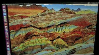 Mudfossils Youtube