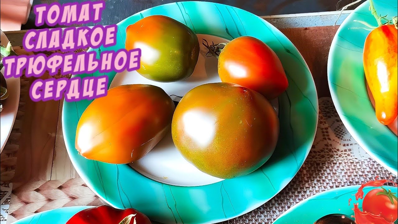 Обзор сорта Сладкое трюфельное сердце