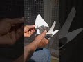 Get the inside scoop straight from the coop