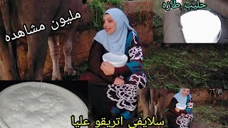 روتين حلب الجاموسه بدون مونتاج وبصوت مباشر بناء على طلبكم خطوه بخطوه