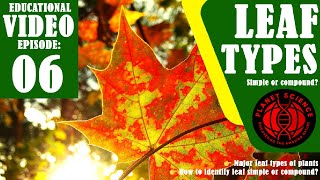 Leaf types | Major leaf types of plants | Different types of leaf