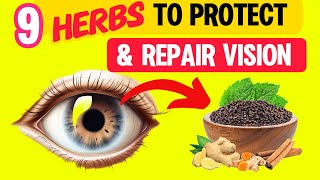 9 Herbs To Protect Your Eyes and Repair Vision