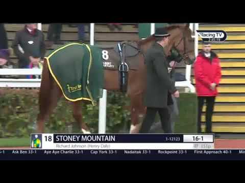 Minella Indo Albert Bartlett Cheltenham 2019