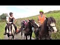 Famous Five Go Camping! (Fun travels with horses through the Irish countryside.)