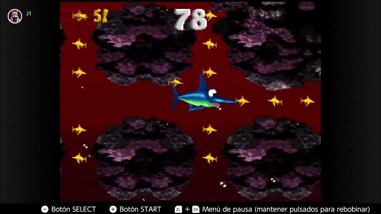 Donkey Kong Country Bonus SwordFish YouTube
