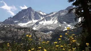 Download Lagu Jate Huye Ye Pal Chhin ...Cover by Satyendra Shrivastava MP3