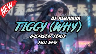 Download lagu DJ WHY BREAKBEAT REMIX FULL MELODY TERBARU 2024