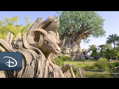 Celebrate Earth Day Through ASMR with Disney's Animal Kingdom Nature Sounds | Walt Disney World