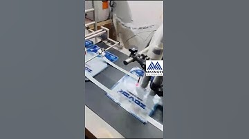 Stacker Conveyor for Large Pouches