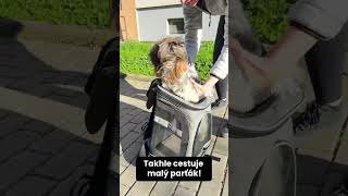Když už pejsek nemůže dál | batoh pro psa Smart #shorts