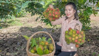 Collecting Fresh Rambutan From My Village | Making Rambutan Dessert &amp; Rambutan Jam Recipe