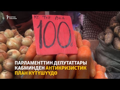 Парламенттин депутаттары кабминден