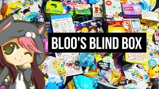 Bloos Blind Box Viewers Choice 10 (FINALLY) | Inu Yasha, Sailor Moon, Pokemon and More!