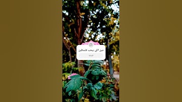 فلسطين حره 😭 قرآن كريم❤️👍