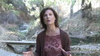 Theatricum Botanicum