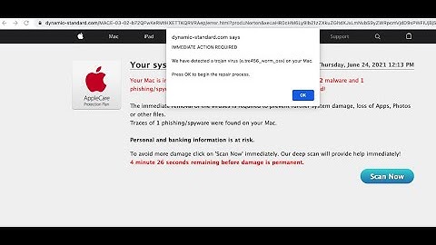 Dynamic-standard.com Virus Found scam removal.