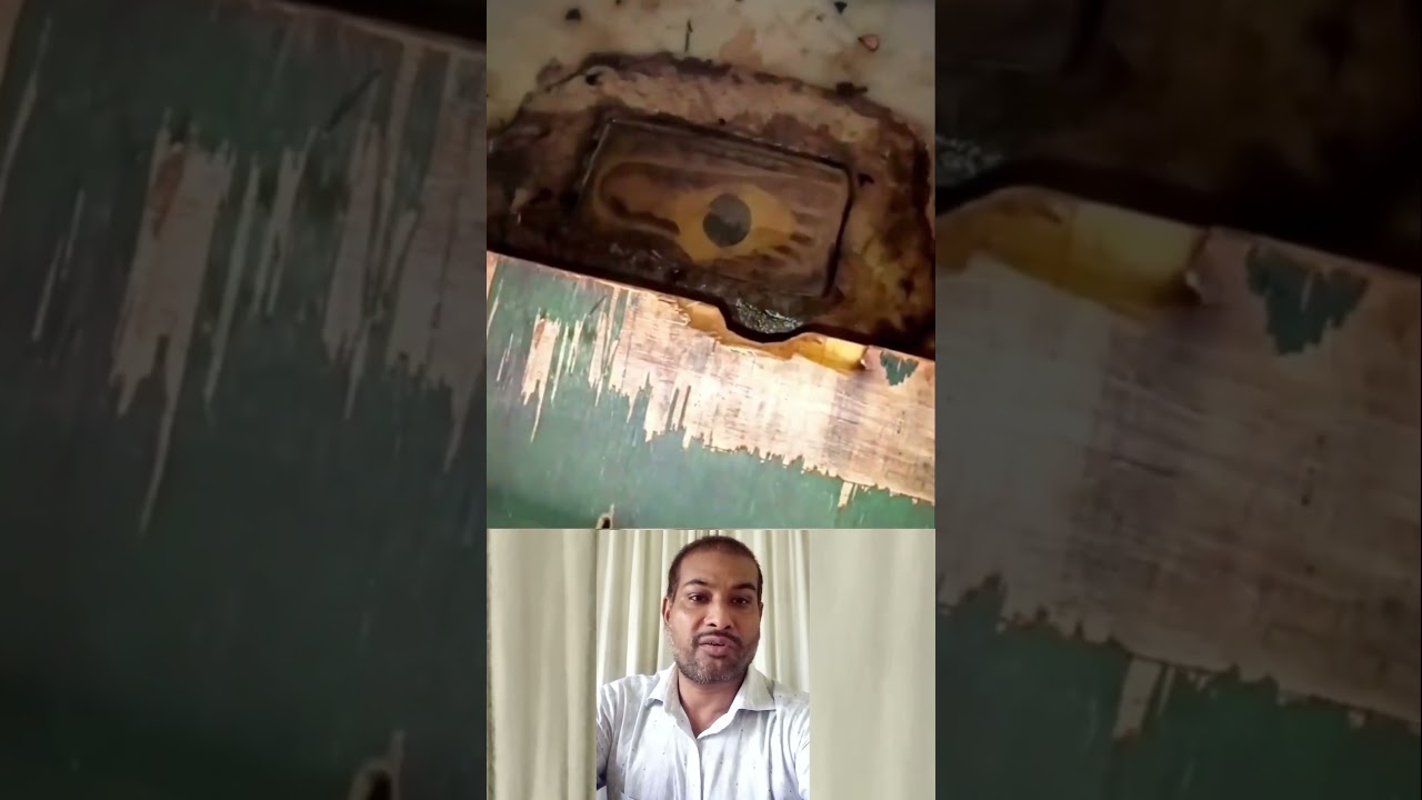 এটা দেখার সবার সৌভাগ্য হয় না! 