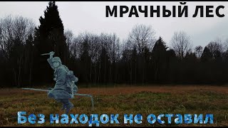 МРАЧНЫЙ ЛЕС не оставил меня без НАХОДОК