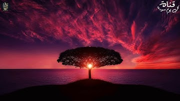 سورة مريم كاملة تلاوة جميلة جدا اجمل نبرة صوت عراقيه سبحان من رزقه هذا الصوت Surah Maryam