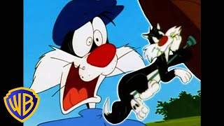 Looney Tunes En Français 🇫🇷 | Les Meilleurs Moments De Sylvestre | @Wbkidsfrancais