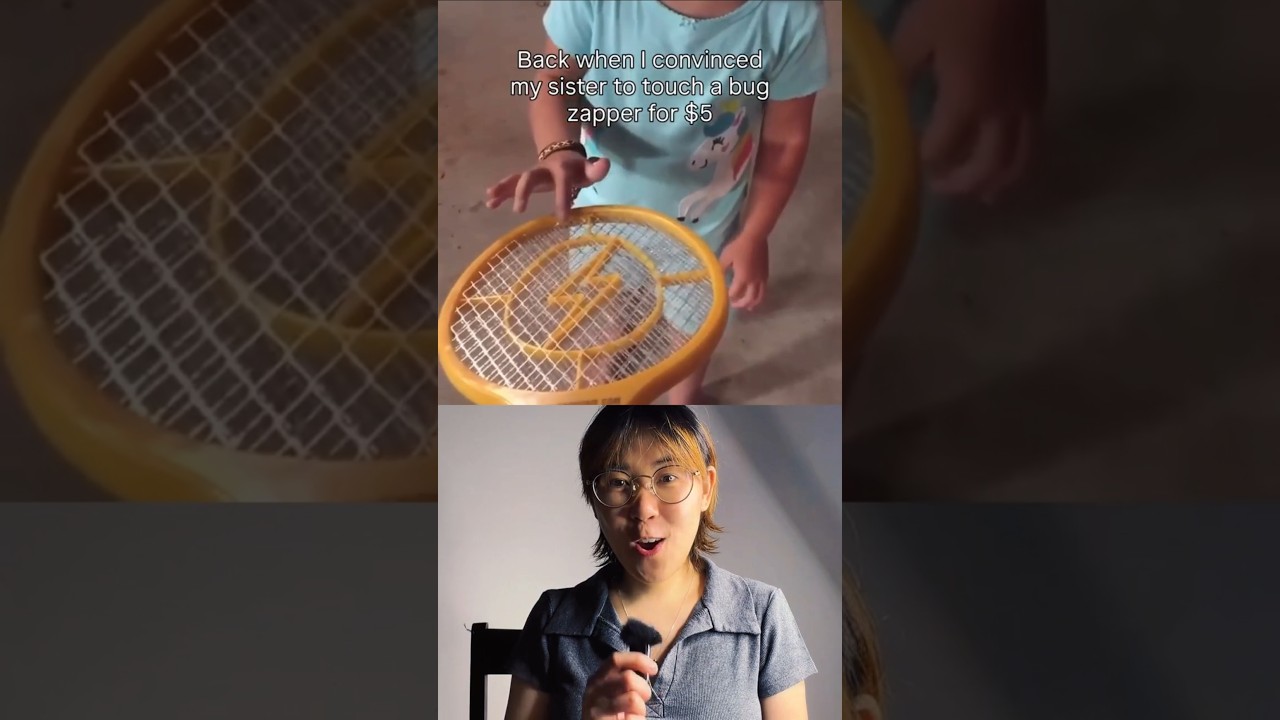 Zap! The Physics of a Fly Zapper Explained