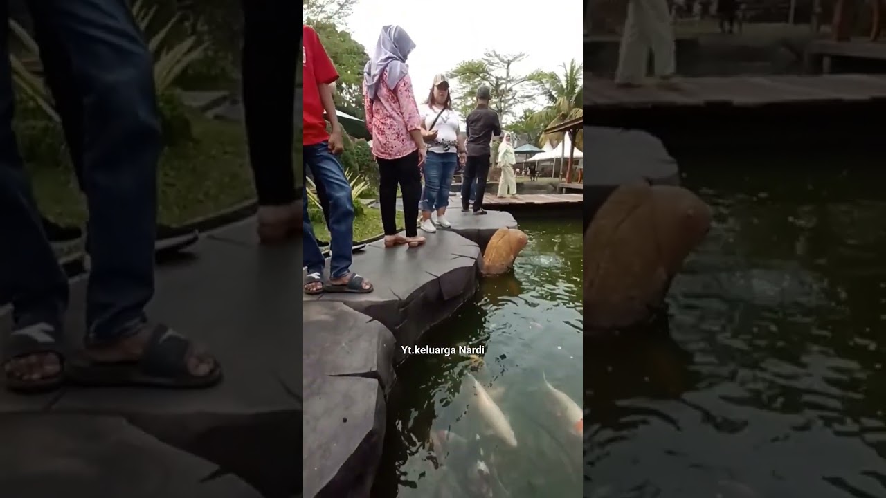 kolam ikan koi, bi coffee bintaro 
