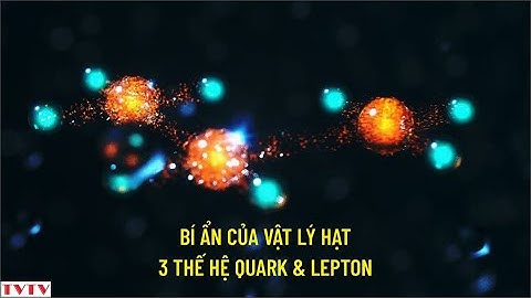 Bí Ẩn Của Vật Lý Hạt Về Ba Thế Hệ Quark và Lepton | Thư Viện Thiên Văn