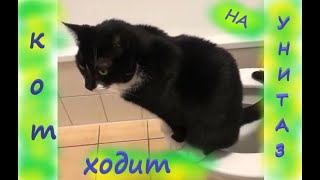КОТ ходит на УНИТАЗ. &  Funny CAT using Toilet. (УЛЁТНОЕ ВИДЕО)