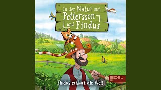 In Der Natur Mit Pettersson Und Findus  Teil 4