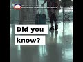 Filipino Emigrants to the United States of America (1981-2018) - by Annual Count