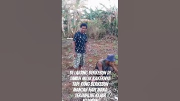 mantan NAPI berkebun#hiburanrakyat#preman#lucu