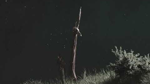 [free] Paradox trend (the weekend type beat) #theweeknd #bandlab #synth 