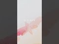 SWALLOW THE SUN | VELVET CHAINS | OUT NOW