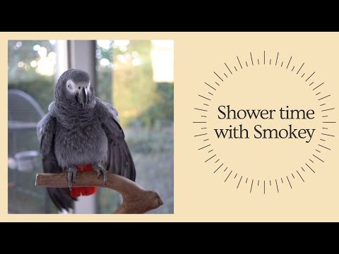 Shower Time!