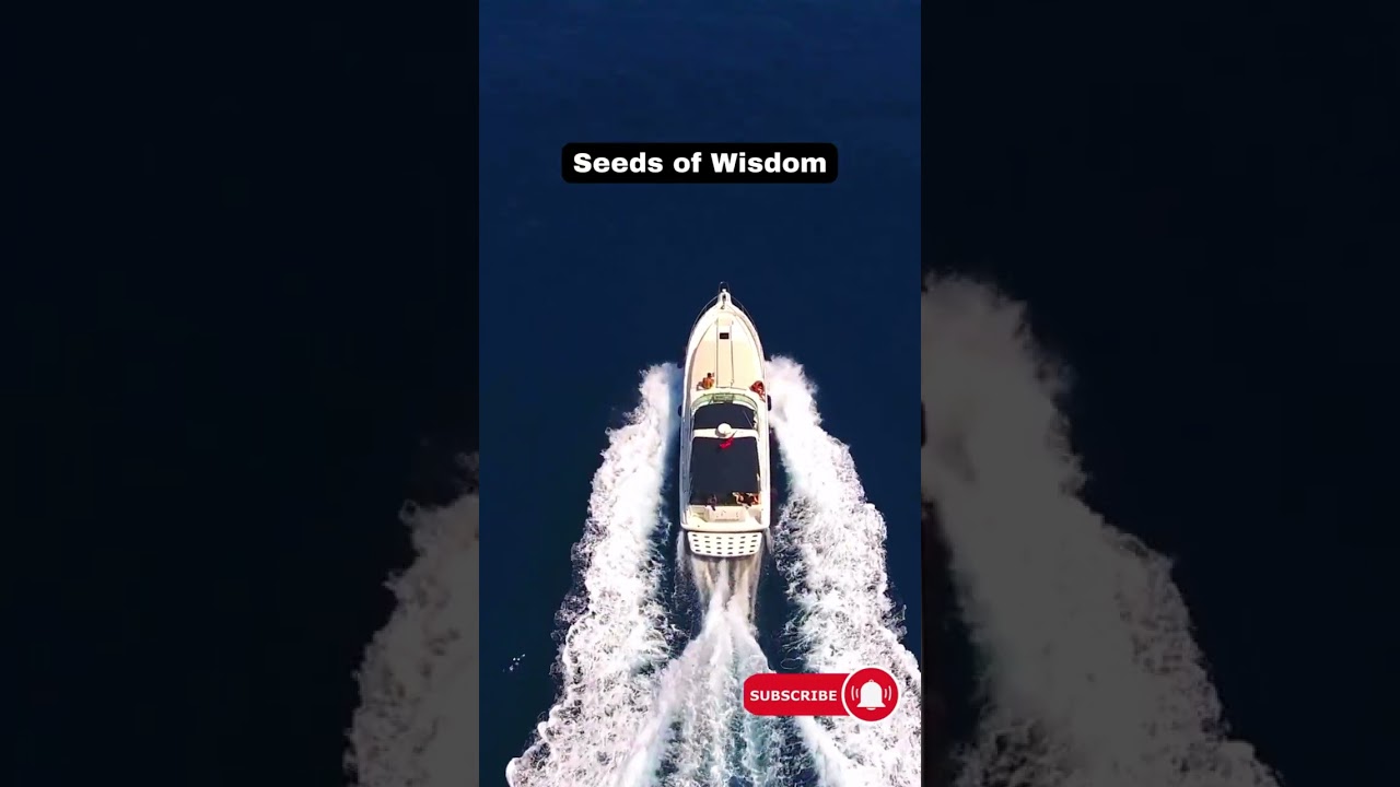 Wisdom Seeds Bloom 
