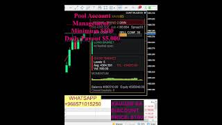 +$50,000 XAUUSD Live Trading | Gold Trading Bot | MT5 EA | Account Management